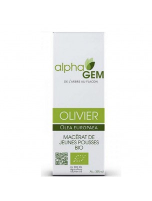 Image de Olivier Macérat de jeunes pousses Bio - Olea europaea 50 ml - Alphagem via Gui Macérat de jeunes pousses Bio 15ml - Alphagem