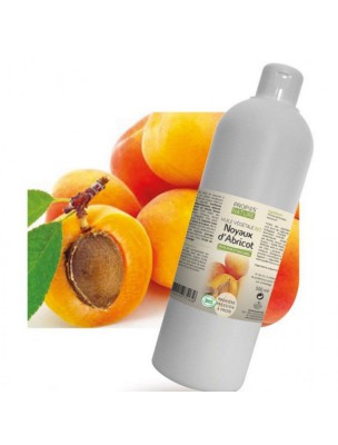 Image de Organic apricot kernels - Prunus armeniaca vegetable oil 500 ml Propos Nature via Buy Lov'Aloe Bio - Fresh Face Cream 50 ml - Propos