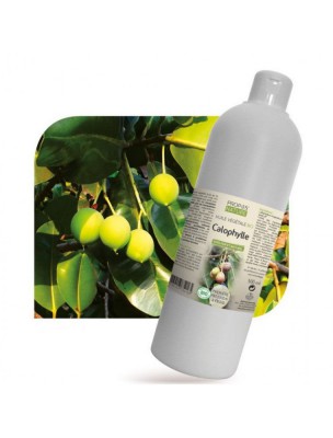 Image de Calophylle Bio - Huile végétale de Calophyllum inophyllum 500 ml - Propos Nature via Huile végétale Calophylle Bio - Pranarôm