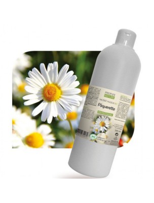 Image de Pâquerette Bio - Macérât huileux de Bellis perennis 500 ml - Propos Nature depuis Achetez les produits Propos Nature à l'herboristerie Louis (3)