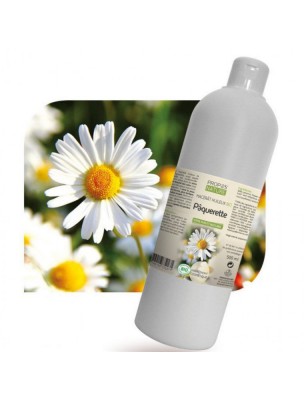 Image de Pâquerette Bio - Macérât huileux de Bellis perennis 500 ml - Propos Nature depuis louis-herboristerie