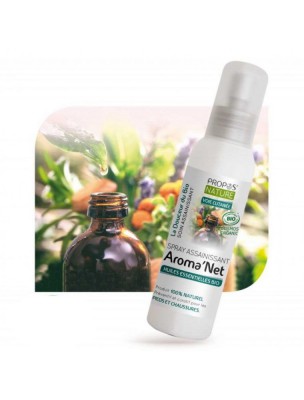 Image de Aroma'Net Bio - Sanitizing Spray 100 ml - Propos Nature via Buy Organic Alum Stone Stick - Natural Deodorant 100g - Allo