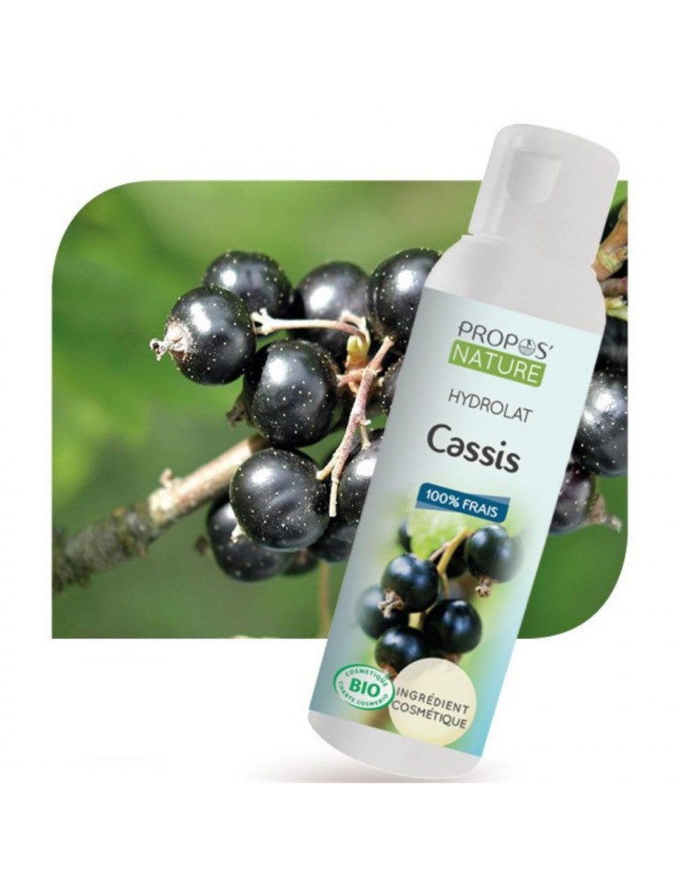 Image principale de la modale pour Cassis Bio - Hydrolat de Ribes nigrum 100 ml - Propos Nature