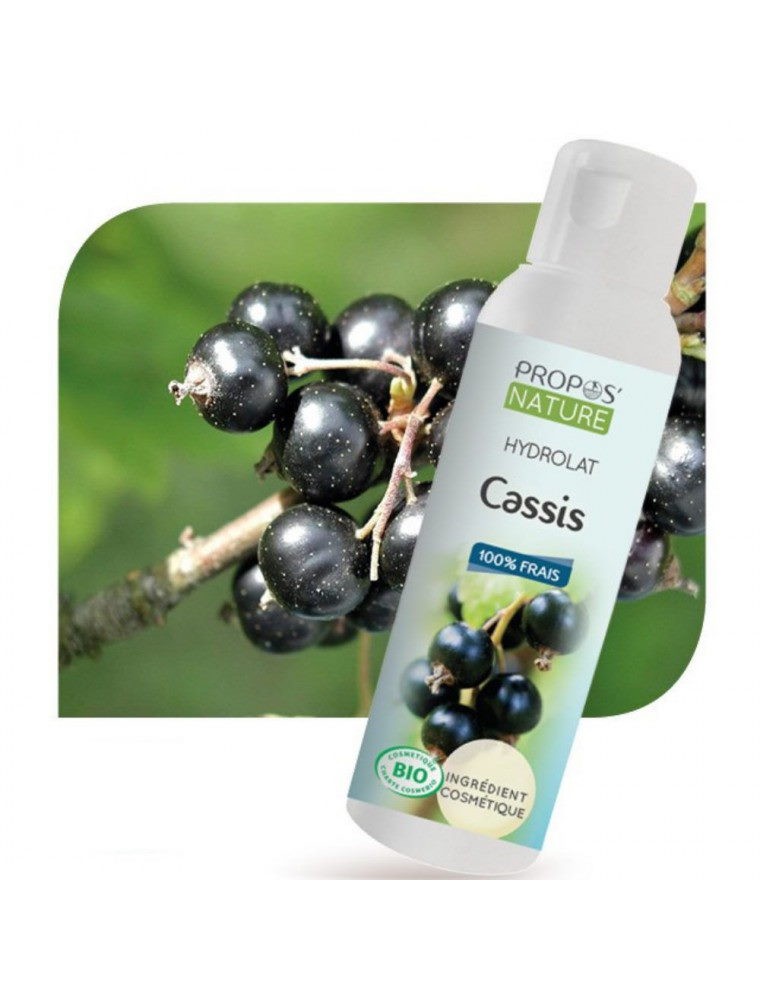 Cassis Bio - Hydrolat de Ribes nigrum 100 ml - Propos Nature Cassis Bio - Hydrolat de Ribes nigrum 100 ml - Propos Nature