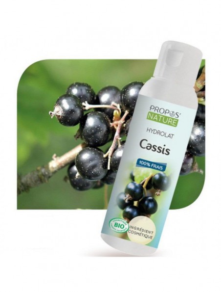 Image principale de Cassis Bio - Hydrolat de Ribes nigrum 100 ml - Propos Nature