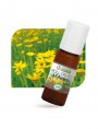 Image de Organic Arnica Roll-on - Face and body 5 ml - Propos Nature via Buy Arnica Organic - Flowers 50g - Arnica montana Herbal Tea