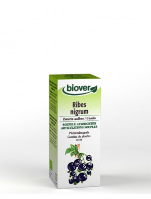 Image de Cassis Bio - Articulations Teinture-mère de Ribes nigrum 50 ml - Biover via Curcuma et Poivre noir 2400 Bio - 90 gélules - Be-Life