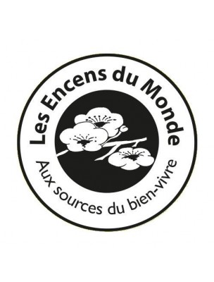 Image 40416 supplémentaire pour Brûle-Parfum Moucharabieh - Diffuseur à résines d'encens et aromates- Les Encens du Monde