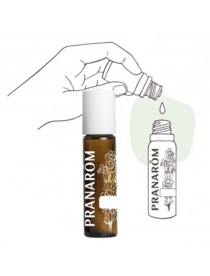 Image de Applicateur à bille roller en verre coloré de 10 ml - Pranarôm depuis Flacons et pipettes : unir les huiles essentielles, créer des cosmétiques.