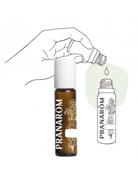 Achetez Applicateur à bille roller en verre coloré de 10 ml - Pranarôm à l'herboristerie Louis Image principale de Applicateur à bille roller en verre coloré de 10 ml - Pranarôm