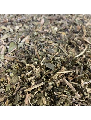 Image de Lamier blanc (Ortie blanche) - Sommité fleurie coupée 100g - Tisane de Lamium album L. depuis Résultats de recherche pour "Tisanière Astri"