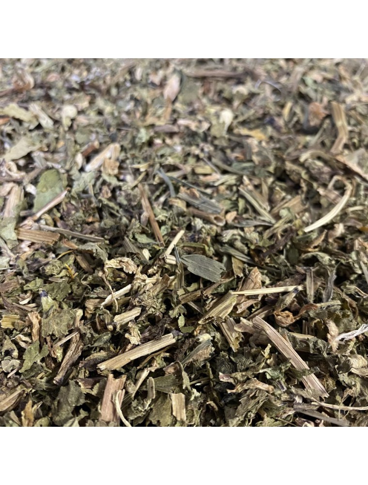 Image principale de la modale pour Lamier blanc (Ortie blanche) - Sommité fleurie coupée 100g - Tisane de Lamium album L.