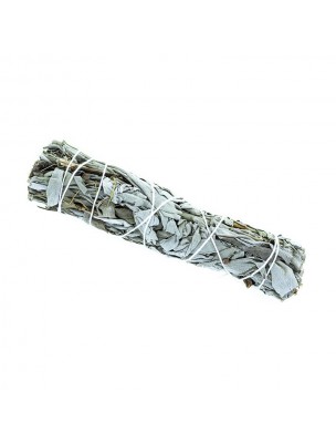 https://www.louis-herboristerie.com/41425-home_default/braid-of-white-sage-purification-and-relaxation-les-encens-du-monde.jpg