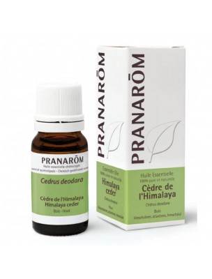 Image de Cedar of theHimalaya - Cedrus deodara Essential Oil 10 ml - Pranarôm depuis Plants and their accessories fight cellulite