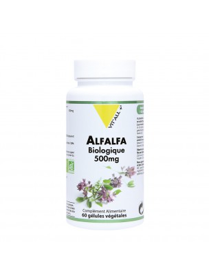 Image de Alfalfa Bio 500 mg - Articulations et Circulation 60 gélules végétales - Vit'all+ via Alfalfa (Luzerne) Bio - 100g poudre - Tisane Medicago sativa L.