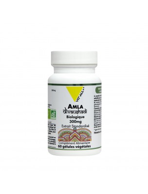 Image de Amla 300 mg - Digestion and Tonus 60 vegetarian capsules - Vit'all+ depuis Ayurvedic medicine in different forms