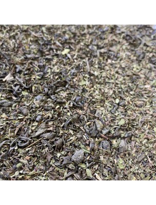 https://www.louis-herboristerie.com/42050-home_default/mint-safran-organic-tea-ardennes-green-tea-30-grams-le-safran.jpg
