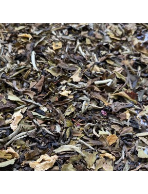 Image de Thé Mangue-Pêche-Safran Bio - Thé blanc ardennais 30 grammes - Le Safran depuis Le thé blanc sous tous ses arômes