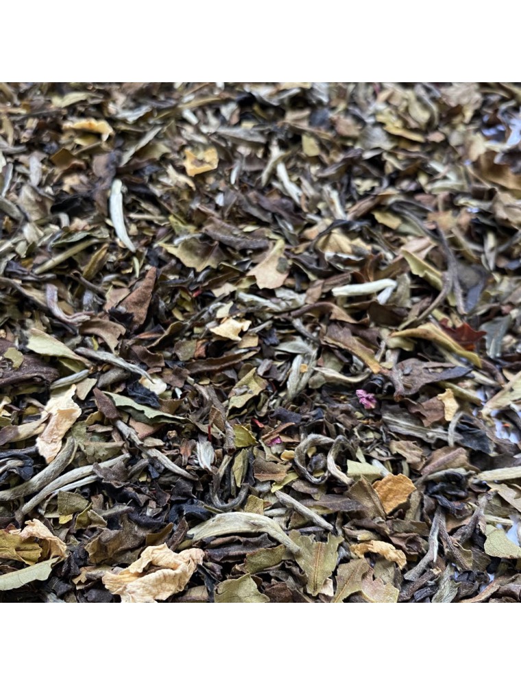 Thé Mangue-Pêche-Safran Bio - Thé blanc ardennais 30 grammes - Le Safran