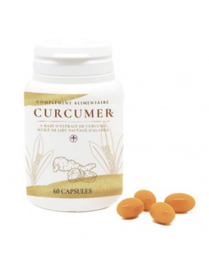 Image de Curcumer - Curcuma et Huile de Lieu sauvage 60 capsules - Nutrilys via Curcuma Bio - Superaliment 200g - Biosavor