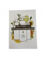 Image de Do It Yoursef with Essential Oils - Practical Guide 75 pages - Pranarôm via Buy Aromathèque Pranarôm - empty case small model of 18