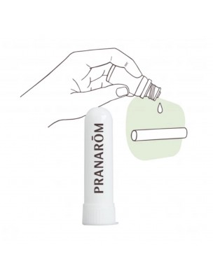 Image de Stick Inhalateur vide pour huiles essentielles - Pranarôm depuis Accessoires pour huiles essentielles en ligne | Découvrez notre sélection