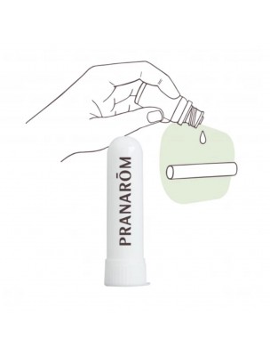 Image de Stick Inhalateur vide pour huiles essentielles - Pranarôm depuis Commandez les produits Pranarôm à l'herboristerie Louis