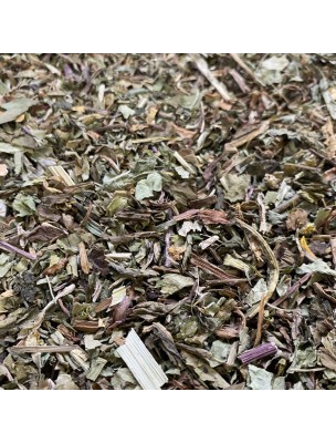 Image de Pissenlit - Feuille coupée 100g - Tisane de Taraxacum dens leonis depuis louis-herboristerie