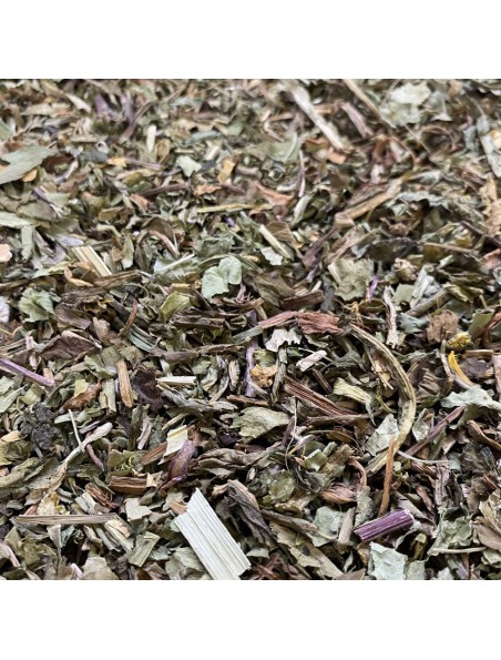 Image principale de Pissenlit - Feuille coupée 100g - Tisane de Taraxacum dens leonis