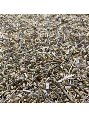 Image de Achillée millefeuille - Sommité fleurie coupée 100g - Tisane d'Achillea millefolium L. depuis Produits de phytothérapie en ligne