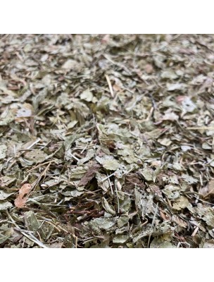 Image de Blueberry - Cut leaves 100g - Herbal tea from Vaccinium myrtillus L. depuis Buds for urinary comfort