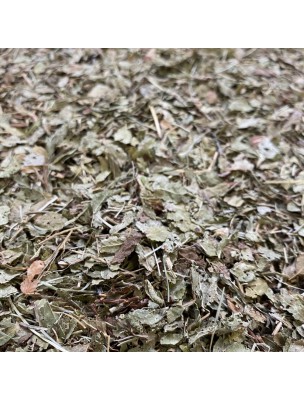 Image de Myrtille - Feuilles coupées 100g - Tisane de Vaccinium myrtillus L. depuis Résultats de recherche pour "Guide des contr"