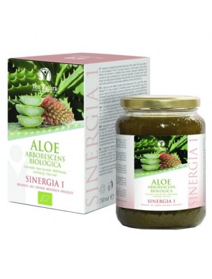 Image de Aloé arborescens Bio - Recette du Père Zago 750 ml - Teo Natura via Artialoe A3 Gel - Aloé arborescens et Harpagophytum Bio - Teo Natura