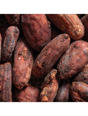 Image 42943 supplémentaire pour Cacao Bio - Superaliment 200g - Biosavor