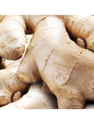 https://www.louis-herboristerie.com/42988-home_default/organic-ginger-superfood-200g-biosavor.jpg