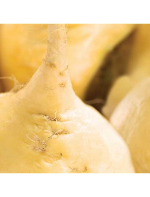 https://www.louis-herboristerie.com/43013-home_default/maca-bio-superfood-200g-biosavor.jpg