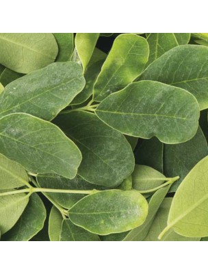 Moringa Bio - Superaliment 200g - Biosavor
