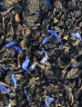Image de Earl Grey Blue Organic - Oolong tea with bergamot 100g - The Other Tea via Buy Au coin du feu - Chestnut Oolong Tea 100g - The Other