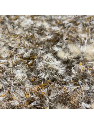 Image de Arnica Bio - Fleurs 50g - Tisane de Arnica montana L. depuis louis-herboristerie