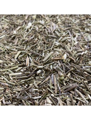 Image 43114 supplémentaire pour Verveine officinale - Partie aérienne coupée 100g - Tisane de Verbena officinalis L.