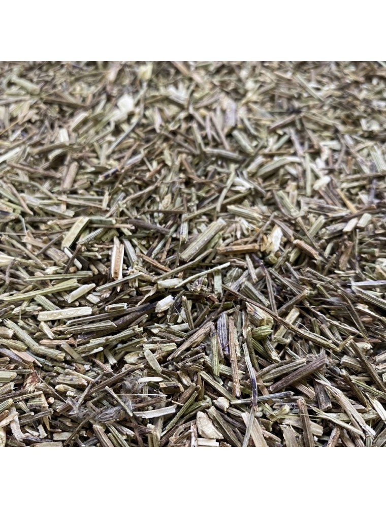 Image principale de la modale pour Verveine officinale - Partie aérienne coupée 100g - Tisane de Verbena officinalis L.