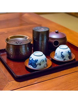 Image 43152 supplémentaire pour Sencha Kashiwagi N°20 Bio - Thé vert japonais 100g - L'Autre thé
