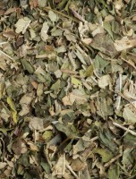 Image de Verveine Menthe Bio - Tisane 50g - L'Autre thé depuis Thés en vrac - Tous les bienfaits des plantes dans votre tasse (3)