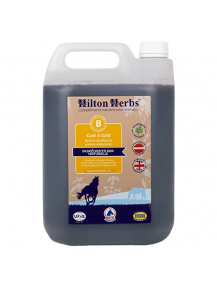 Image de Cush X Gold - Cushing's Syndrome of Horses 5 Liters - Hilton Herbs depuis Buy the products Hilton Herbs at the herbalist's shop Louis