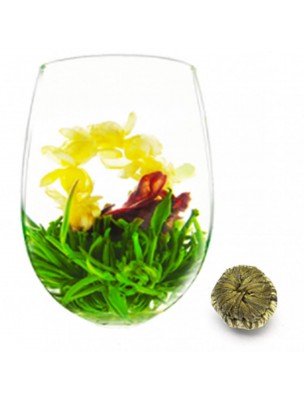 Image de Amour de Jasmin Fleur de thés - Jasmine, Green Tea depuis Buy our natural and organic tea flowers