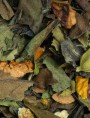 Image de Blanc Neige Bio - White Christmas Tea 50g - English L'Autre Thé via Buy Halong Bay Organic - White Tea 50g - The Other