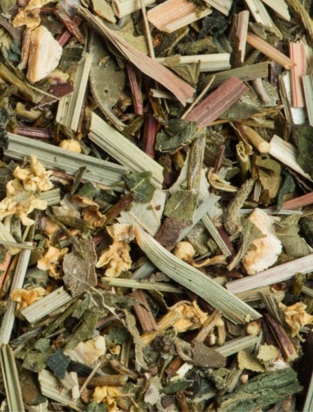 Achetez Green Detox Bio - Tisane 50g - L'Autre thé à l'herboristerie Louis Image principale de Green Detox Bio - Tisane 50g - L'Autre thé