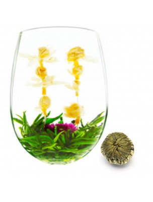 Image de MayFlower Fleur de thés - White tea, Jasmine and Amaranth via Buy Family Infuser in borosilicate glass 1 Litre with its