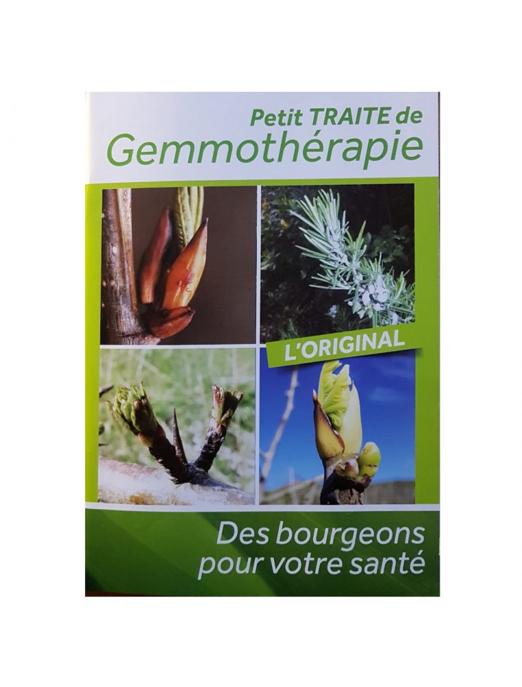 Image principale de la modale pour Petit Traité de Gemmothérapie - Des bourgeons pour votre santé 60 pages - Edition FEH