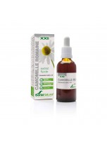 Image de Camomille romaine XXI - Extrait Fluide de Chamaemelum nobile L. 50ml - SoriaNatural depuis Découvrez nos extraits fluides sans alcool